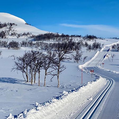 Bruksvallarna - Modern Fjaellstuga Med Panoramautsikt Och Wifi Dış mekan fotoğraf