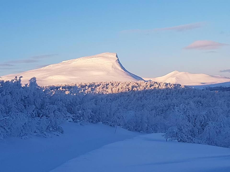 Bruksvallarna - Modern Fjaellstuga Med Panoramautsikt Och Wifi Dış mekan fotoğraf