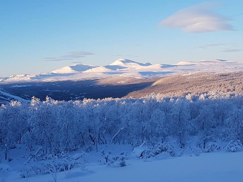 Bruksvallarna - Modern Fjaellstuga Med Panoramautsikt Och Wifi Dış mekan fotoğraf
