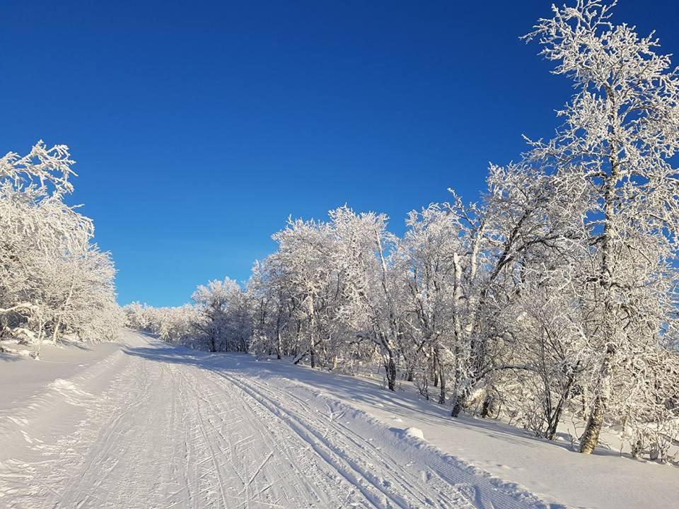 Bruksvallarna - Modern Fjaellstuga Med Panoramautsikt Och Wifi Dış mekan fotoğraf