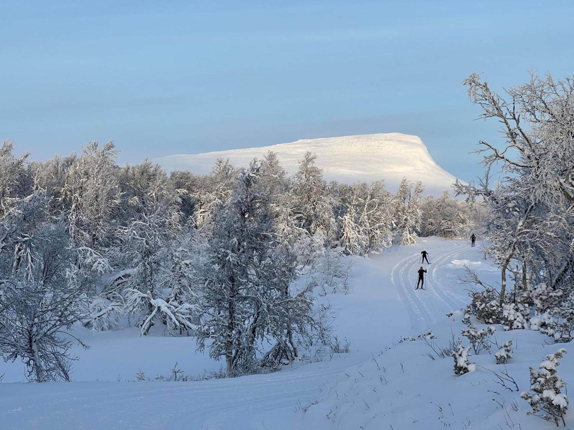 Bruksvallarna - Modern Fjaellstuga Med Panoramautsikt Och Wifi Dış mekan fotoğraf